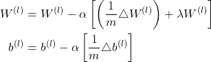 \begin{equation*}    \begin{split}         W^{(l)} & = W^{(l)} - \alpha \left[ \left( \frac{1}{m}\triangle W^{(l)} \right) + \lambda W^{(l)}  \right]  \\         b^{(l)} & = b^{(l)} - \alpha \left[ \frac{1}{m}\triangle b^{(l)} \right] \\      \end{split}    \end{equation*}